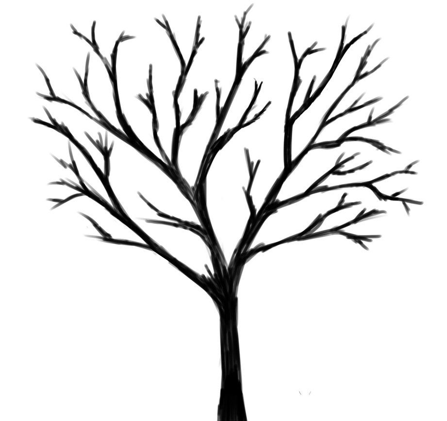 921x867 Tree Drawings Black And White Lone Black Tree