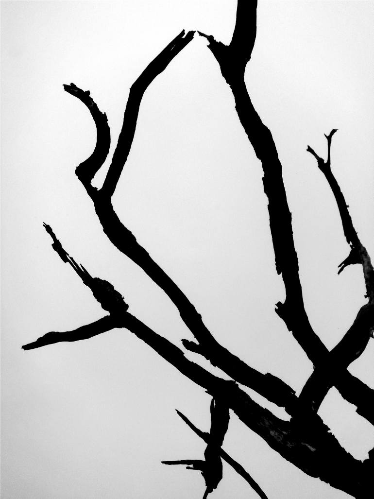 770x1027 Trees Series Abstract Ii