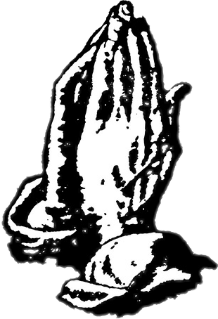 310x454 Collection Of Free Drake Drawing Download On Ui Ex