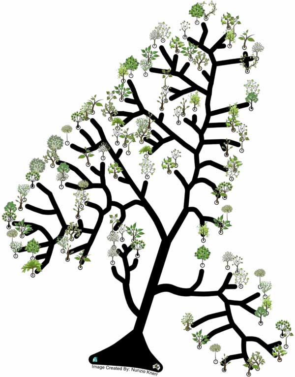 Acacia Tree Drawing | Free download on ClipArtMag