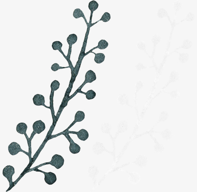 Acacia Tree Drawing | Free download on ClipArtMag