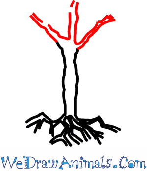 300x350 How To Draw An Acacia Tree