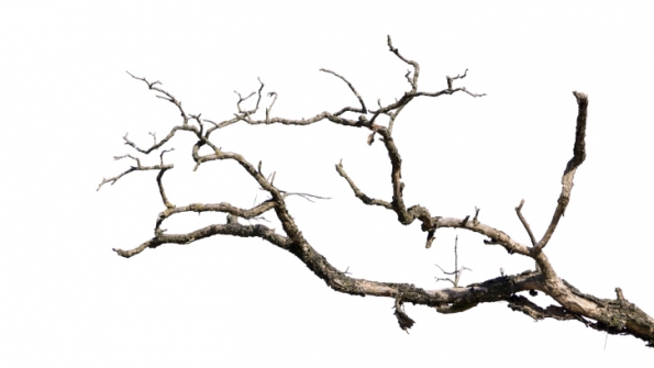 595x335 No, You Cannot Have It All The Beleaguered United Illuminating Co