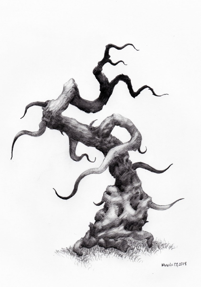 843x1200 Owentree Sketches On Twitter Tree Continuance Daily