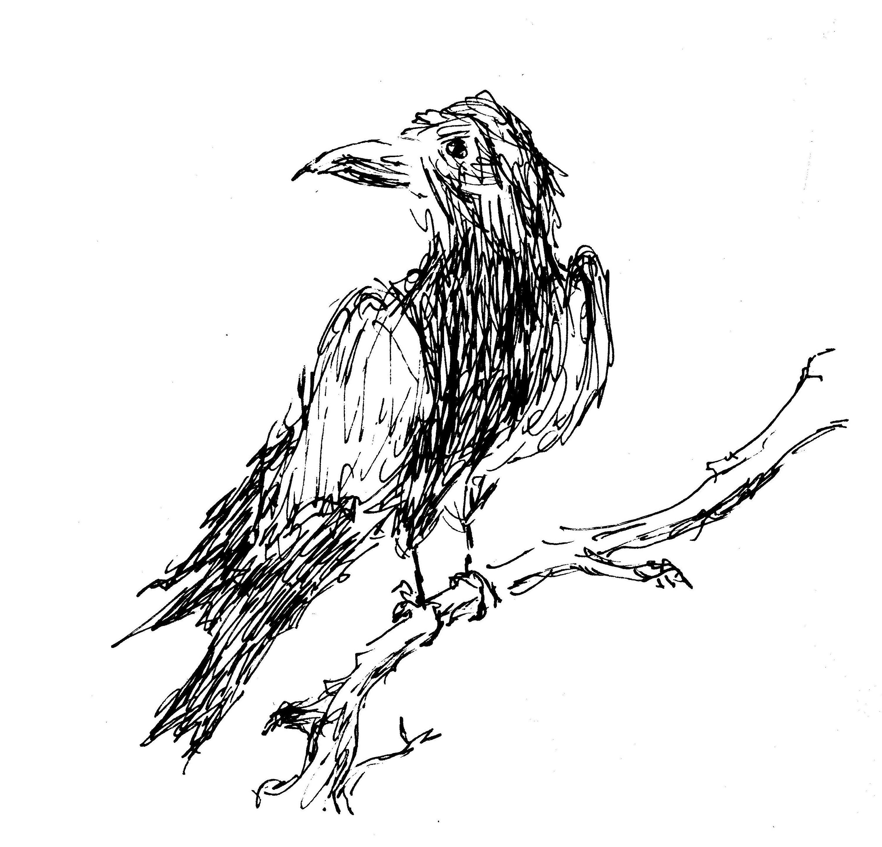 3009x2889 The Crow Road