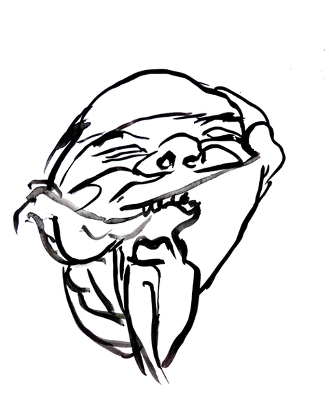 480x610 Janice Sloane Head Face Drawings