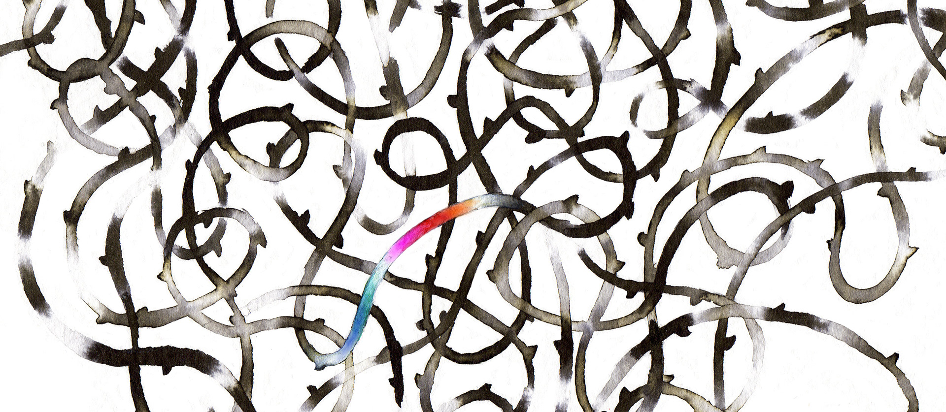 1920x837 Noumeda Carbone