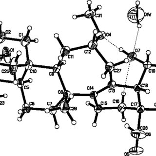320x320 Ortep Drawing Of Duboscic Acid