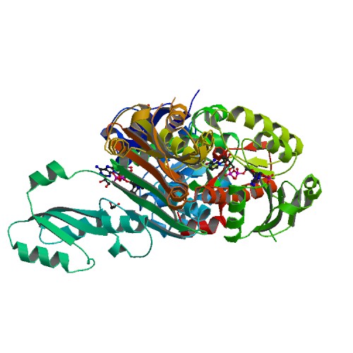 500x500 Rcsb Pdb