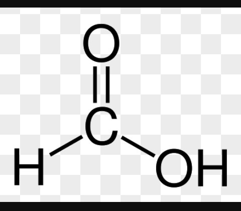 480x420 Draw Structure Of Methanoic Acid