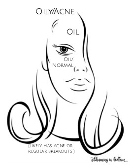 270x335 oily and acne prone skin