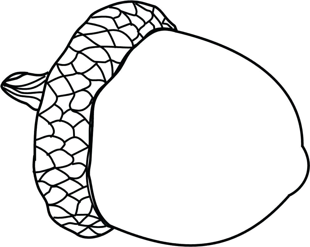 993x790 Acorn Coloring Pages Related Coloring Coloring Pages For Coloring