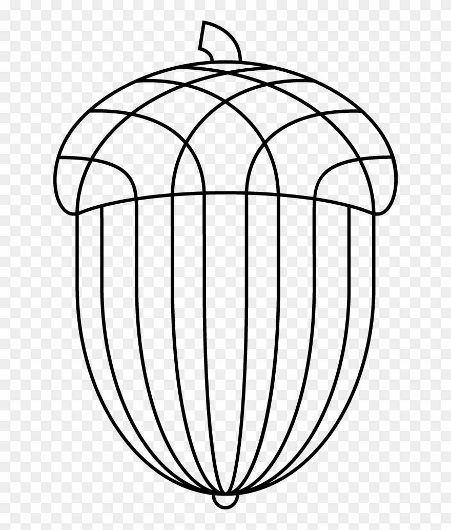 880x1033 Acorn Drawing Clipart