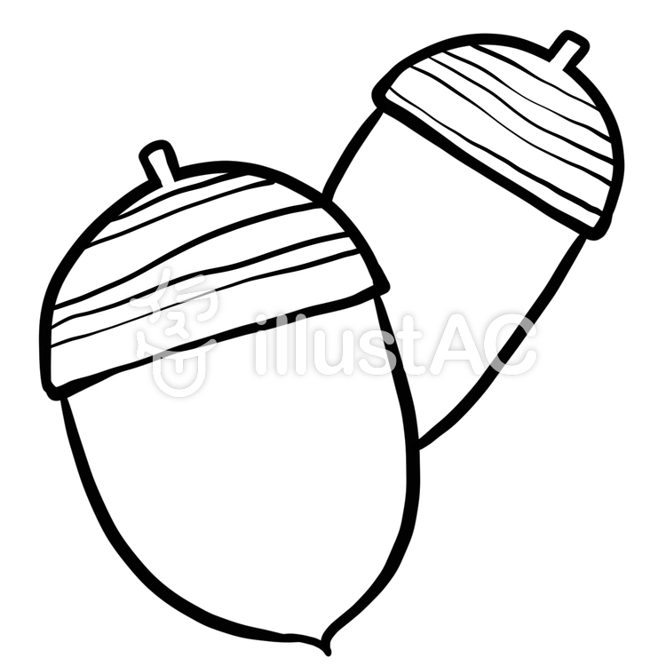 750x750 Collection Of 'acorn Line Drawing' Download More Than Images