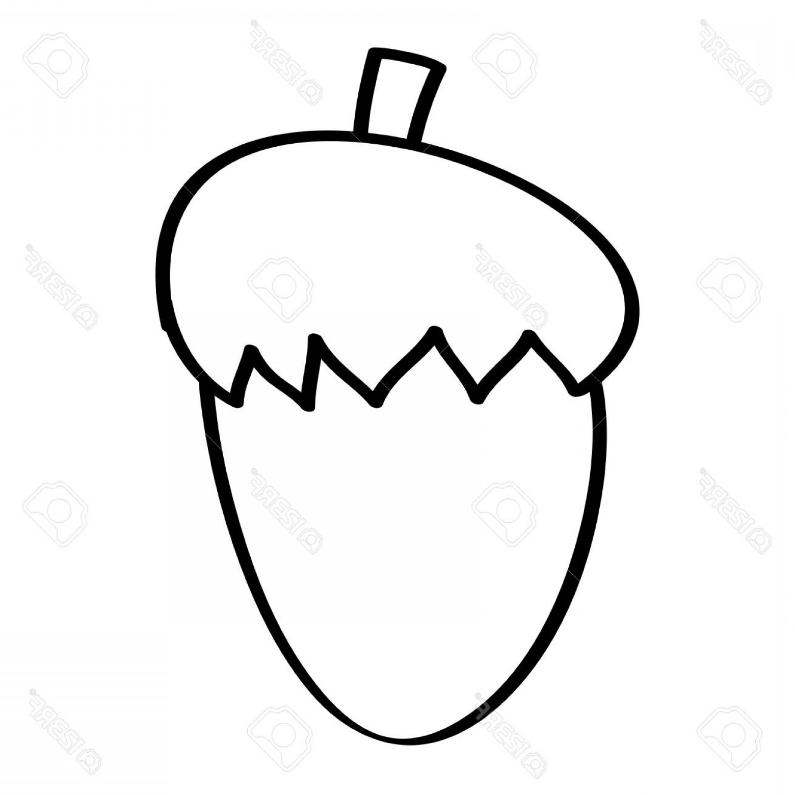 1560x1560 Photostock Vector Acorn Nut Fruit Food Natural Icon Vector