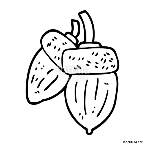 500x500 Line Drawing Cartoon Acorn Stock Image And Royalty Free Vector