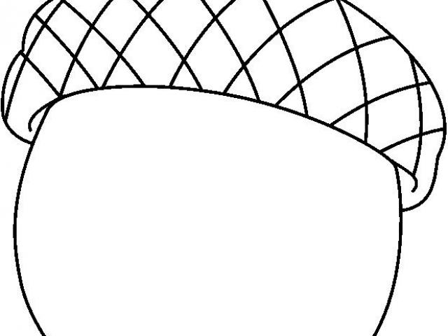 640x480 Acorn Clipart Line Drawing