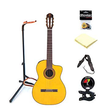 355x355 Takamine Classical Nylon String Acoustic Electric Guitar