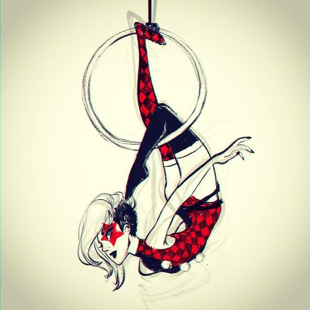 640x640 aerial harlequin