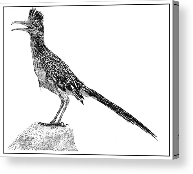 666x600 rockin roadrunner acrylic print