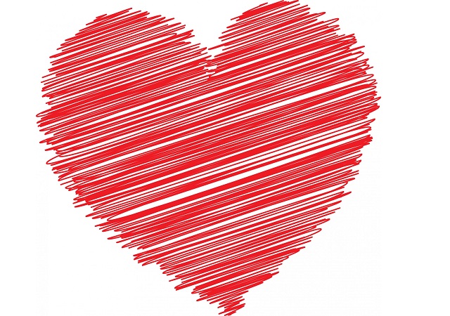 640x450 The Hearts We Draw Look Nothing Like Our Actual Hearts So Why Do