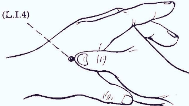 795x447 acupuncture points for low back pain