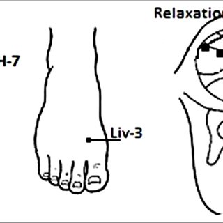 320x320 acupuncture points with anxiolytic effect download scientific