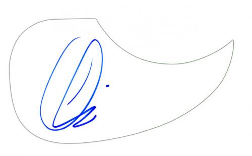 500x310 Maroon Adam Levine Autographed Signed Natural Acoustic Guitar