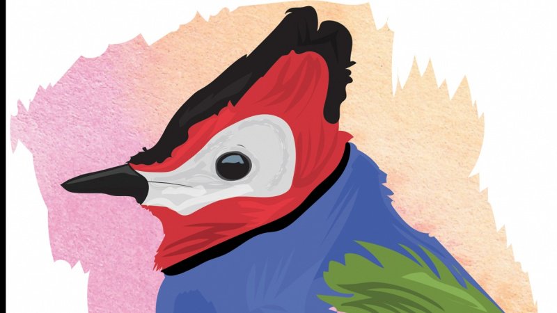 800x450 Draw Animals In Adobe Illustrator Using The Pen Tool Laura