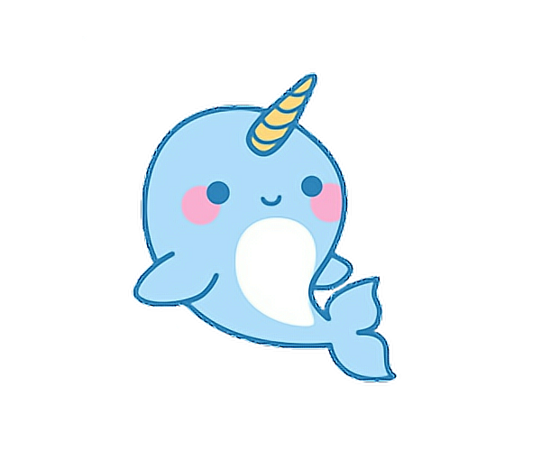 600x500 Kawaii Cute Adorable Narwhale