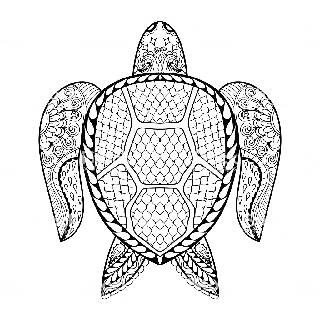 1024x1024 Turtle Coloring Pages For Adults Hand Drawn Sea Adult Vector