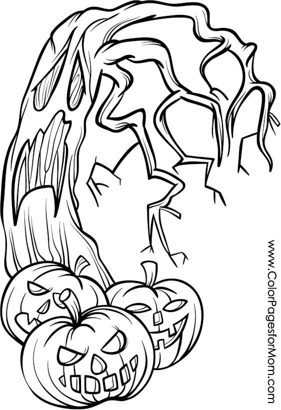 562x820 Coloring Pages For Adults