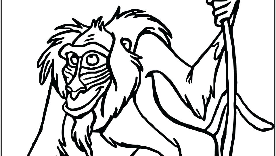 960x544 Drawings Of Baboons