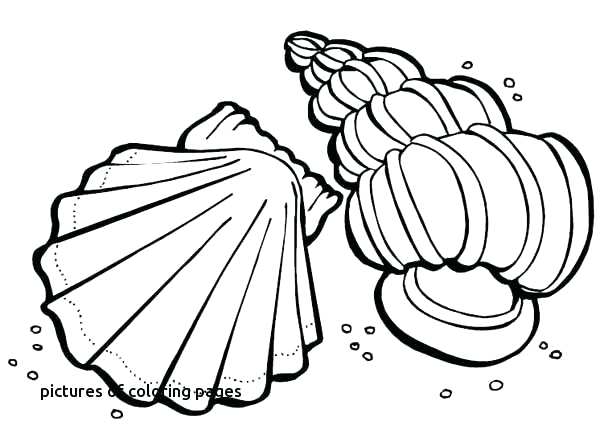 600x442 Free Christmas Candle Coloring Pages Advent Colouring
