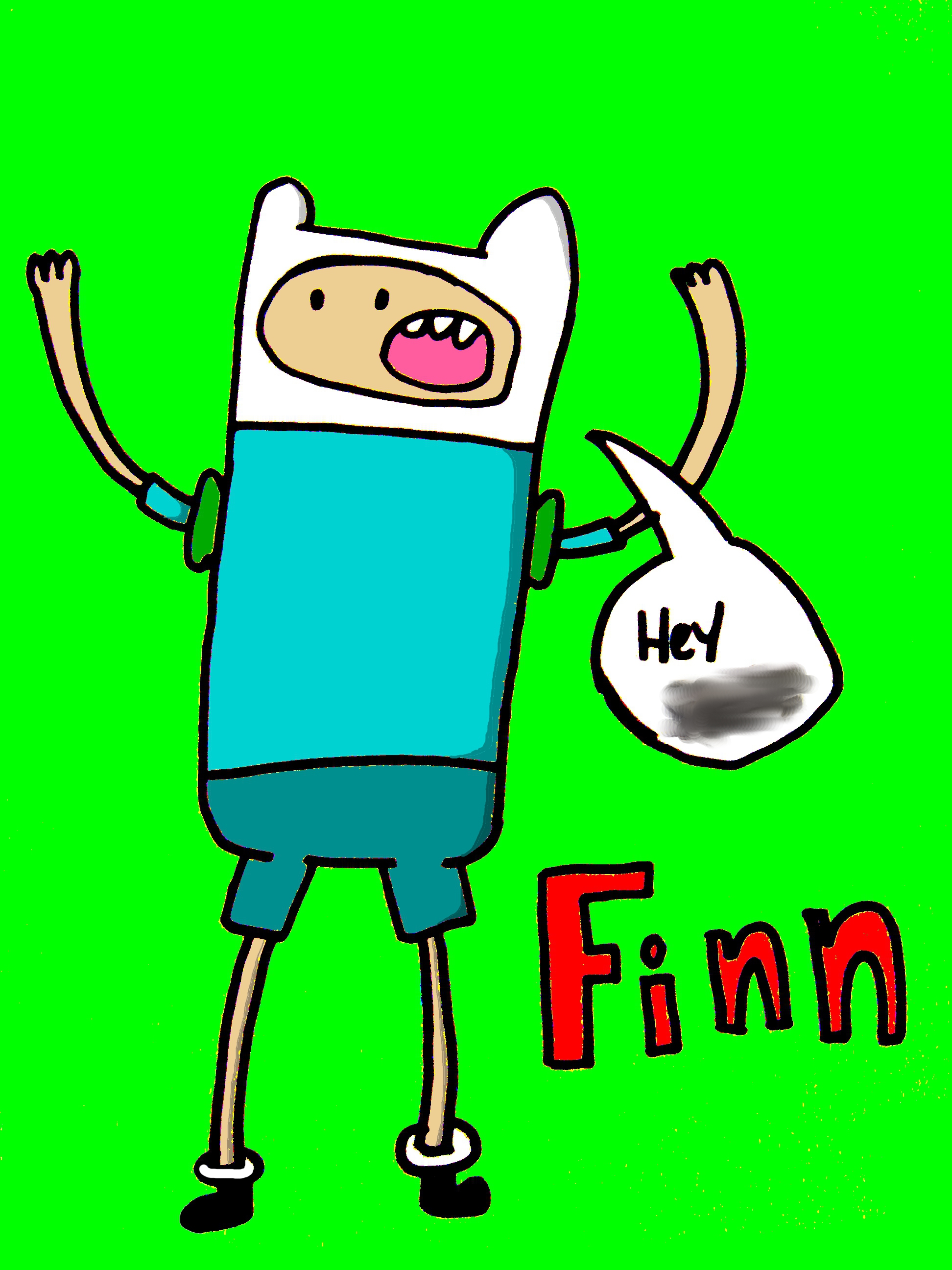 1944x2592 Finn From Adventure Time