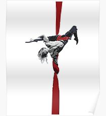 210x230 Aerial Drawing Posters Redbubble