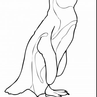 336x336 Africa Map Coloring Pages Animals For Preschoolers Drawing Outline