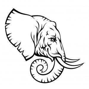 300x300 Elephant Head Drawing New Elephant Drawing Tutorial How To Draw