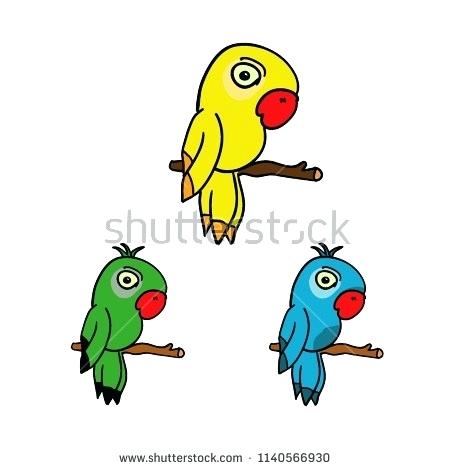 450x470 Parrots Drawings Parrots And Birds Of African Gray Parrot Drawing