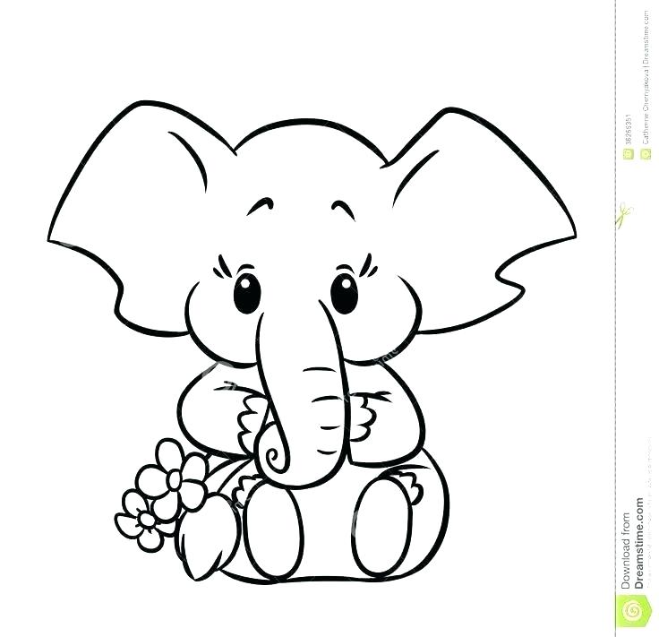 736x711 Elephant Outline Drawing Elephant Face Outline Elephant Outline