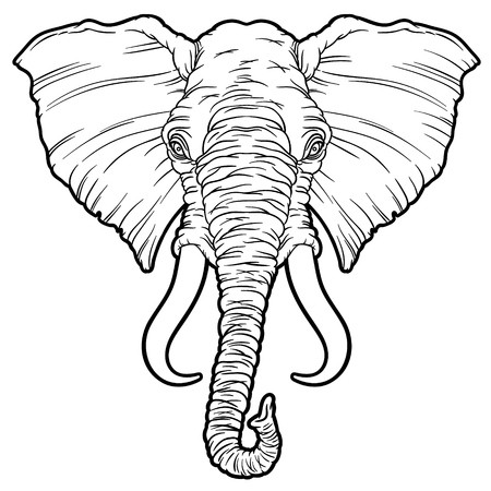 450x450 Illustration On An African Elephant