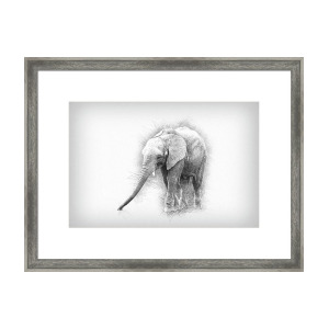 300x300 Pencil Drawing Sketch Illustration Of African Elephant Loxodonta