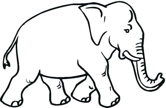 550x358 African Elephant Coloring