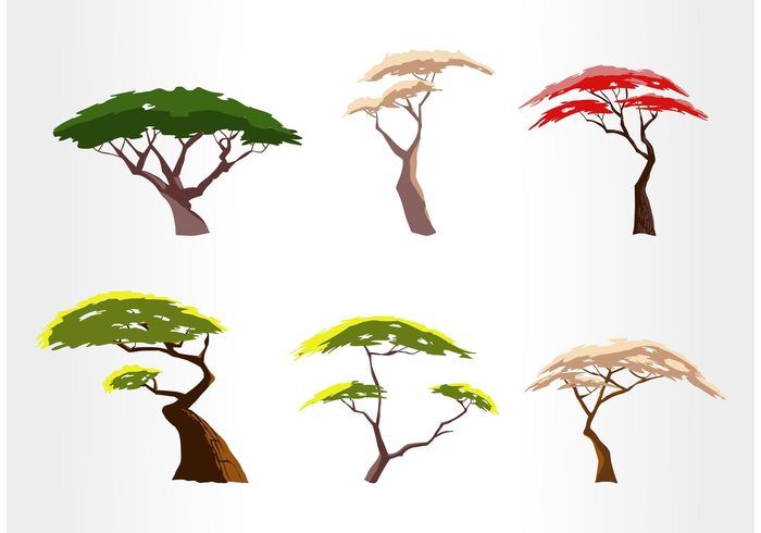 700x490 Bildresultat Africa Plants Vector African Bg