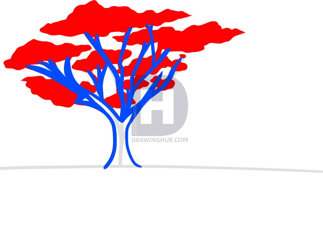 1034x720 How To Draw A Safari, Step