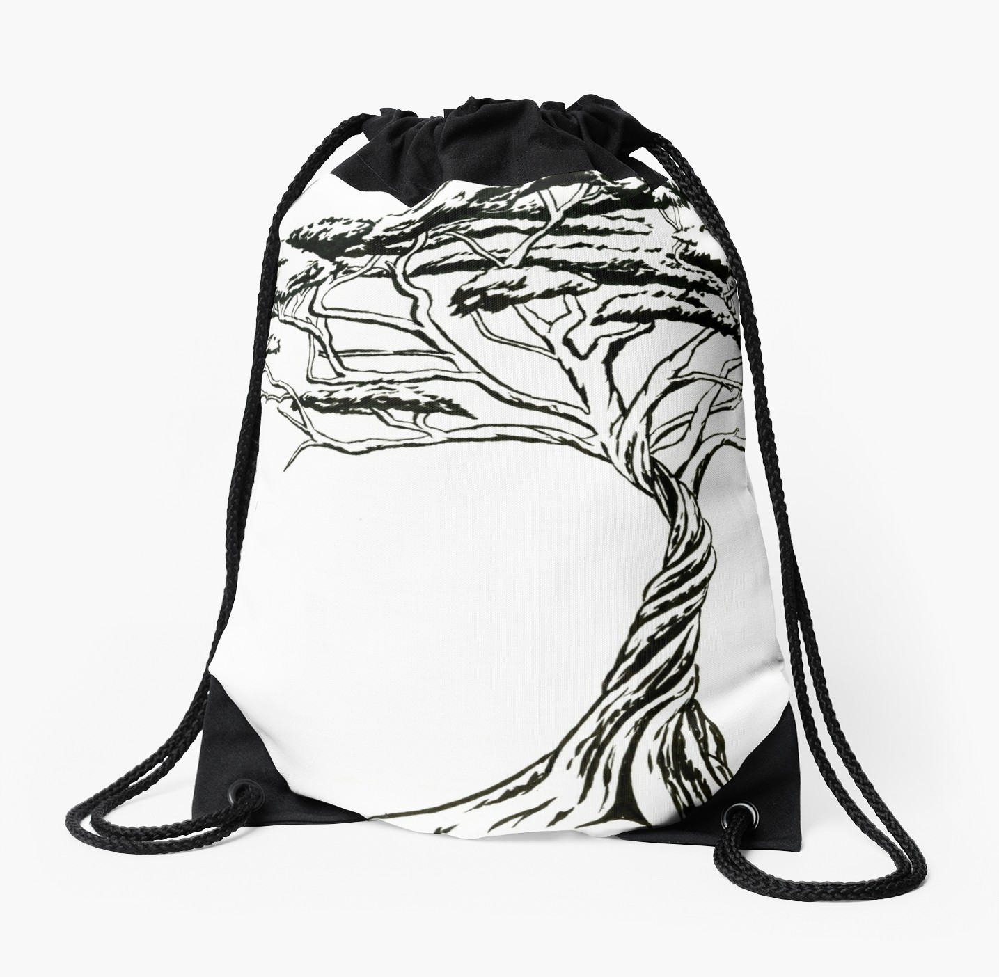 1435x1404 Whistling Thorn Zen Bonsai African Tree Black And White