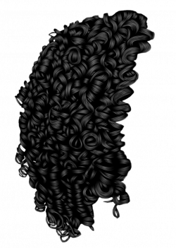 250x351 Curls Drawing Spiral Curl, Picture