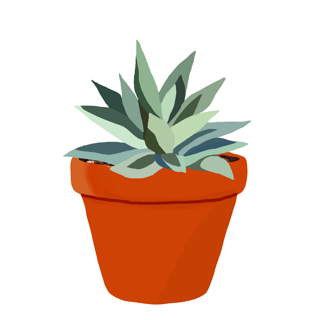 Agave Drawing | Free download on ClipArtMag