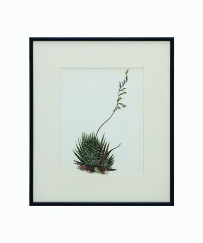 404x482 Drawing Photography Art Sketching Art Usa, Uk