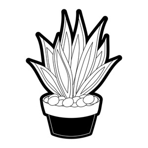 300x300 big agave royalty free vectors